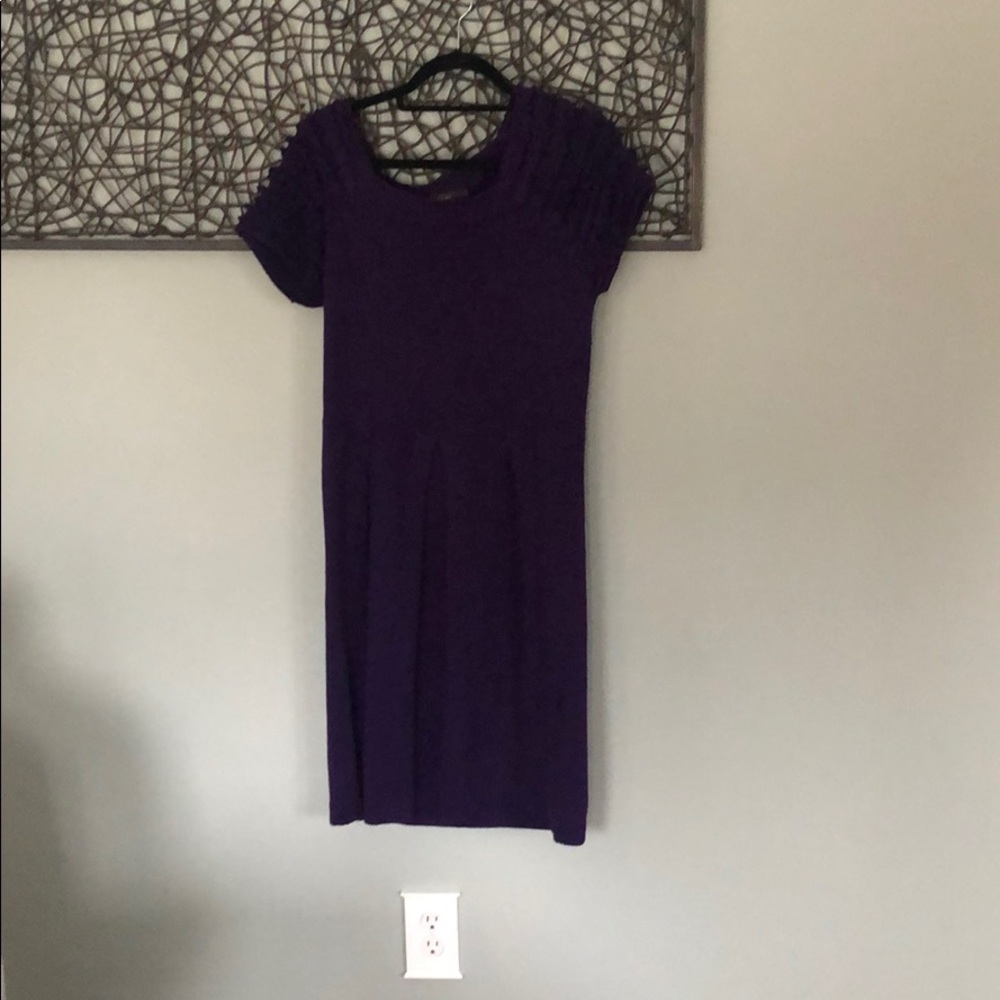 Purple Ruffle Sleeve Dress